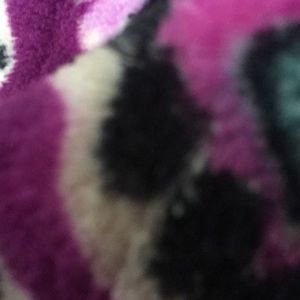 Meet your Posher, Dani